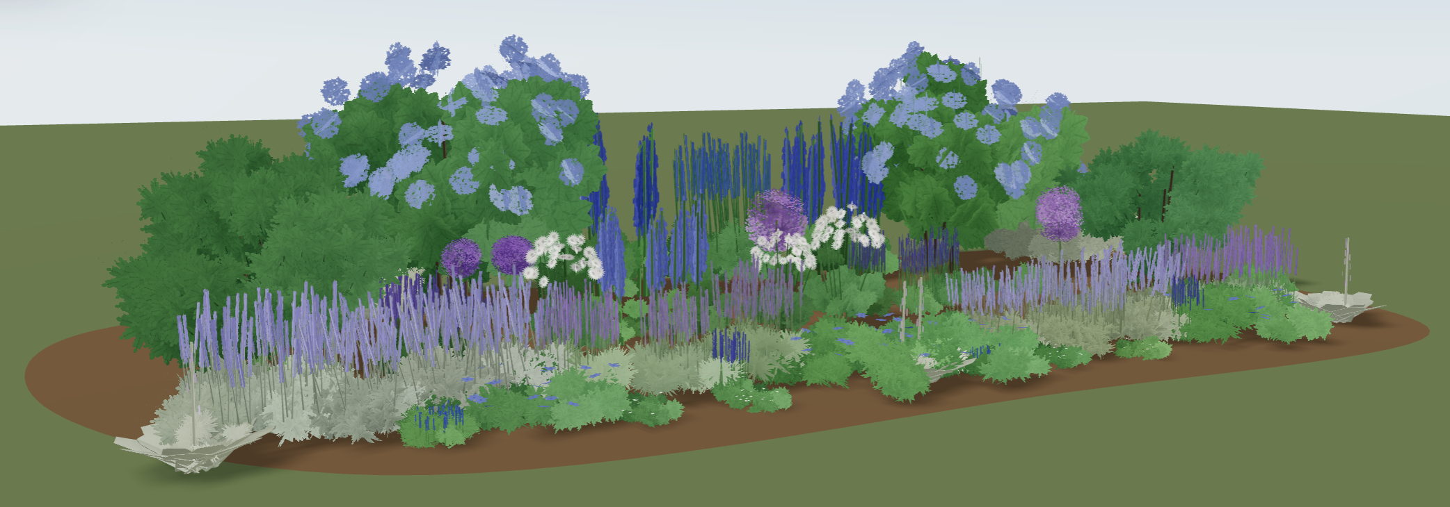 The cool border, a garden designed in BloomsEye Studio, seen in 3D: blue hydrangeas and dark blue delphiniums behind purple allium globes, with salvia and catmint along the front